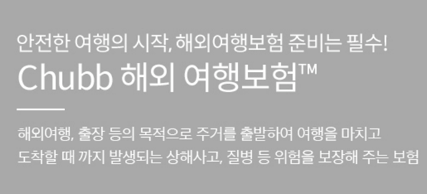 에이스 여행자보험