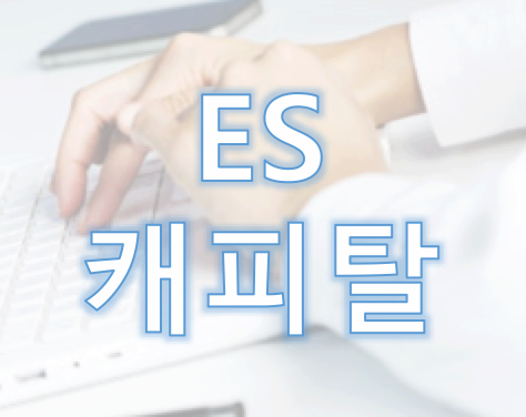 ES캐피탈